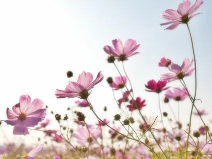 Healing the Past, Healing the Future | Lofi Soul Beats