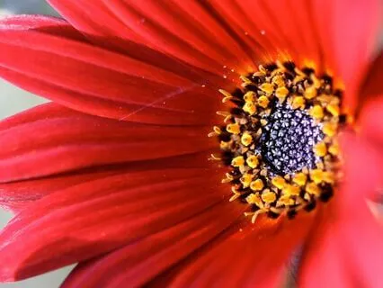 Healing The Root Chakra For Financial Abundance