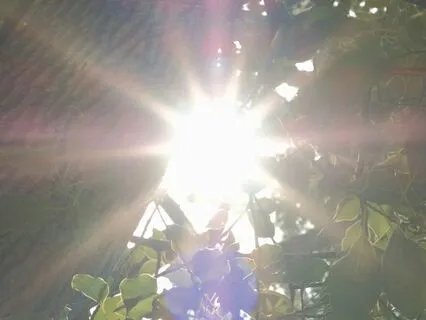 Healing The Sacred Wound