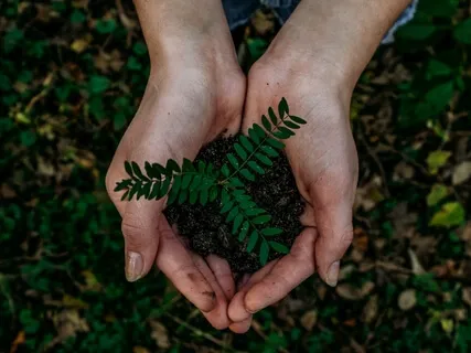 Healing The World: Personal & Collective