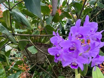 Healing Through Color And Visualization Meditation