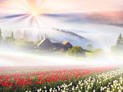 Healing Through Colours