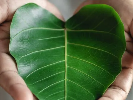 Healing Through Love | Heart Chakra Talk For You & Your Pet