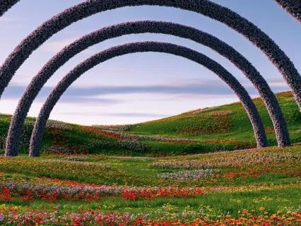 Healing Through Presence: Embracing Your Body’s Wisdom