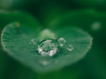 Healing Through Self-Compassion: Affirmations For The Heart