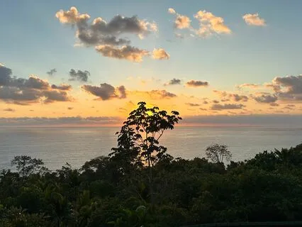 Healing Through Sounds