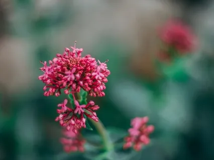 Healing Through Spiritual Power