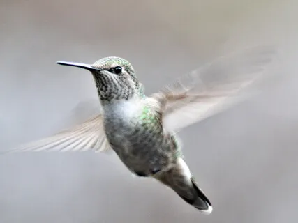 Healing Through The Power Of Love 