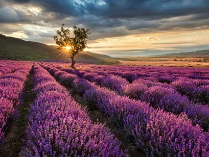 Healing Through The Power Of Presence