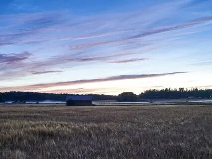 Healing Tranquility: Peaceful Slumber