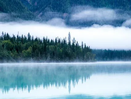 Healing Trauma 12: PTSD And Traumatic Memory