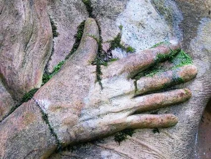 Healing Trauma 15: Emotional Regulation And Self-Compassion