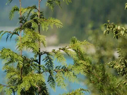 Healing Trauma 2: Safety In The Present Moment