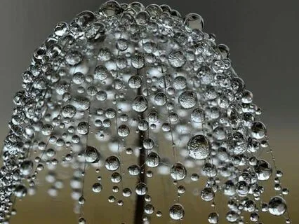 Healing Trauma 5: Connecting With Our Younger Self