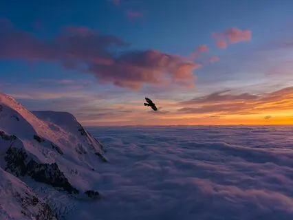 Healing Trauma 7: Disconnection From Our Body