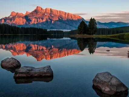 Healing Trauma 9: Fight Flight Freeze Fawn