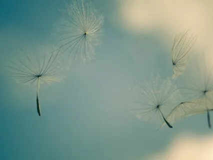 Healing Trauma - Giving Yourself A Happy Childhood