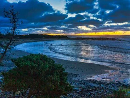 Healing Trauma: Introduction To 15 Short Talks And Practices