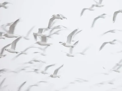 Part 1 Healing Trauma Through Natural Elements - Air