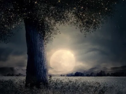 Healing Tree - Guided Practice For Healing & Relaxation