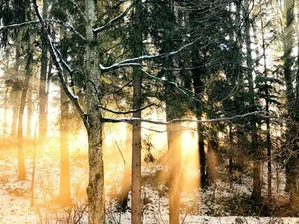 Healing Triangle Body Scan