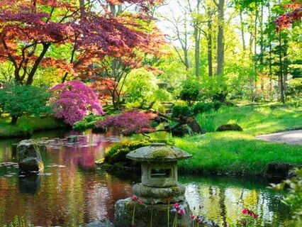 Healing Vibes: Anxiety Dissolver