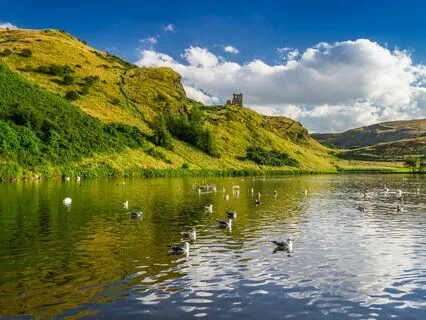 Healing Vibes: Release Tension, Find Peace