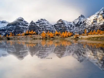 Healing Visualization