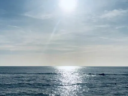 Healing Waters (432 Hz) - Native Flute For Relaxation