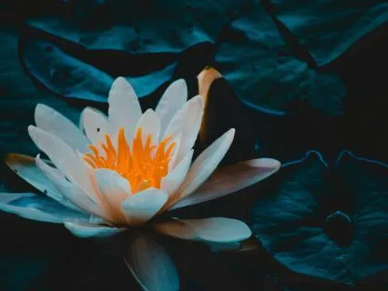 Healing Waters: A Nourishing Meditation