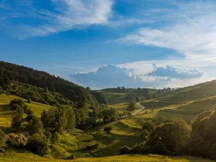 Healing Waves: Anxiety Relief