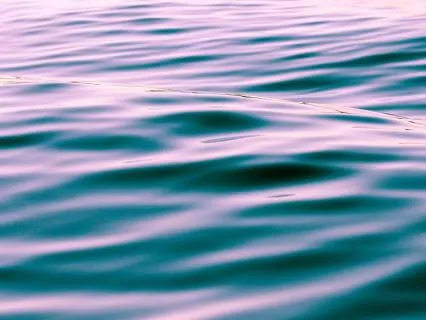 Healing Waves ~ Nature Sleep Sounds For Nervous System Calm