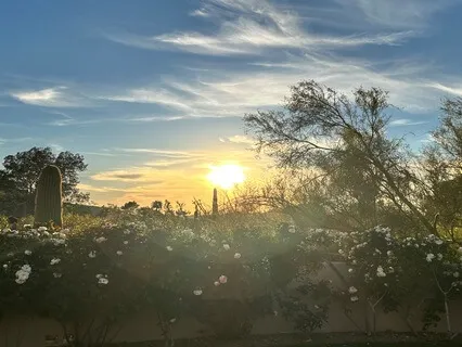 Healing What Was Missing: Father's Day Meditation