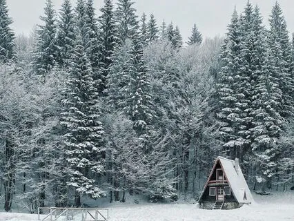 Healing Winter Forest Meditation