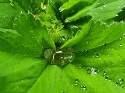 Healing Wisdom Of Water Relaxation 