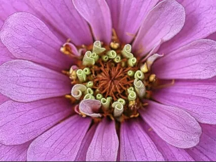 Healing With Acceptance