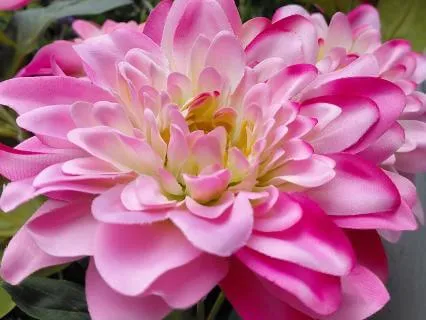 Healing With Forgiveness, Gratitude, Letting Go And Love