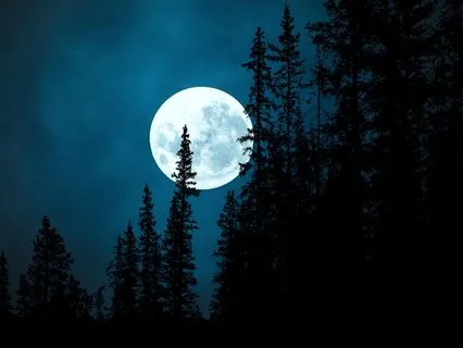 Healing With Moonlight – Singing Bowls & Meditation