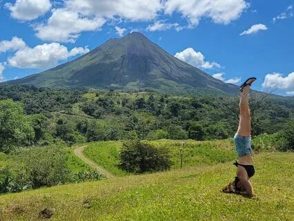 Healing with Nature Series | Morning Forest Ambience