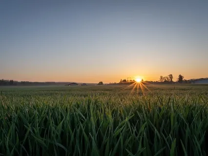 Healing With The Archangels