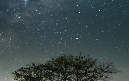 Healing With The Dragon - Sleep Meditate