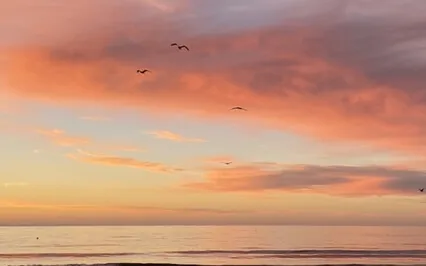 Healing With The Violet Flame