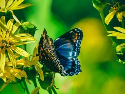 Healing With Your Ancestors