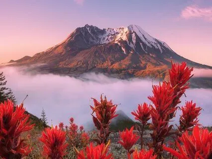 Healing Within To Unlock Inner Peace And Strength | 15 Hz