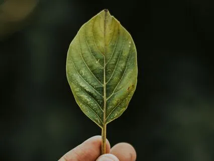 Healing Words: Coming Home To Yourself | Poem | Poetry