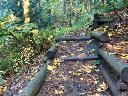 Healing Your Ancestral Wound