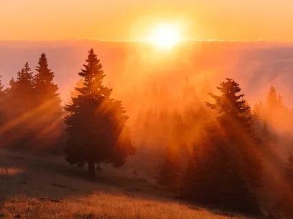 Healing Your Body, Mind, Emotions, And Life