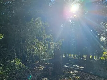 Healing Your Body With Love And Light: Poem-Meditation