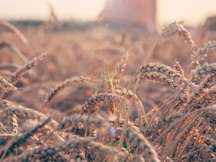 Healing Your Hidden Money Wound