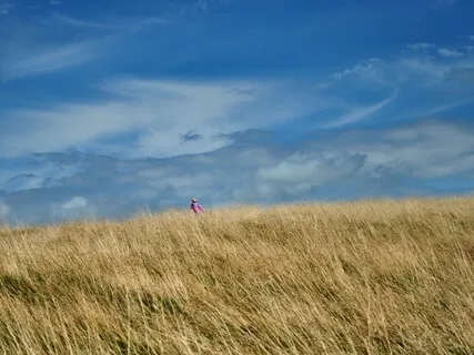 Healing Your Inner Child Meditation (She/Her/Hers)